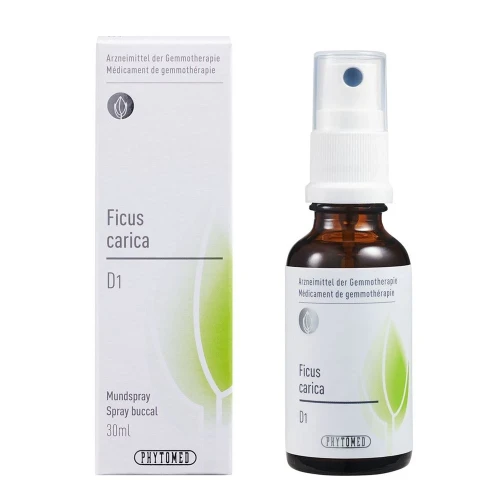 PHYTOMED GEMMO Ficus carica liq D 1 Spr 30 ml