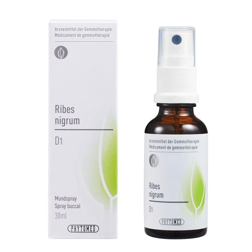 PHYTOMED GEMMO Ribes nigrum D 1 Spr 30 ml